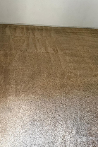 Home: Area Rug Cleaning 4 Flawless Oriental Rug Care AR3