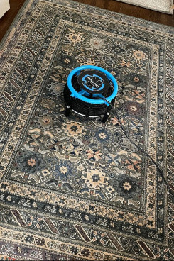 persian rug cleaning in compton2